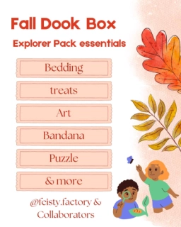 Explorer Pack - Fall Edition Dook Box // Gift Box for Pets