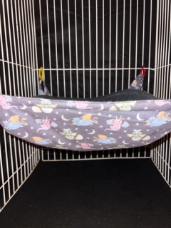Baby Dragon Print Reg Ferret Basket