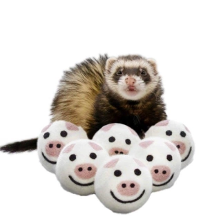Ferret Stashing Balls (Piggy Band) - Set of 6