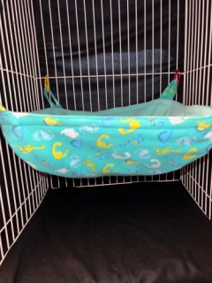 Cute Dinosaur Print Reg Ferret Basket