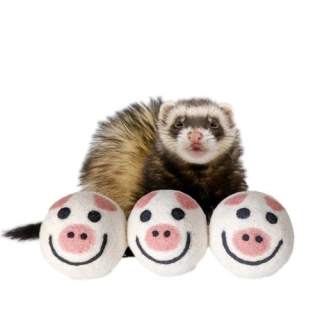 Ferret Stashing Balls (Piggy Trio) Set of 3
