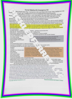 Ferret Medical Kit List Chart Only Digital Download PDF FILE Quick Educational Reference Guide