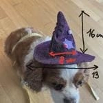 small dog wizard costume,dog christmas,pet owner gift,dog accessories,wizard costume,dog hat,cute animal costumes