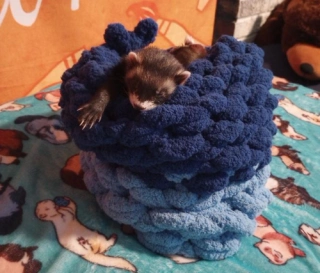 Handmade Chunky Yarn Ferret Nest: Cozy Small Pet Burrow