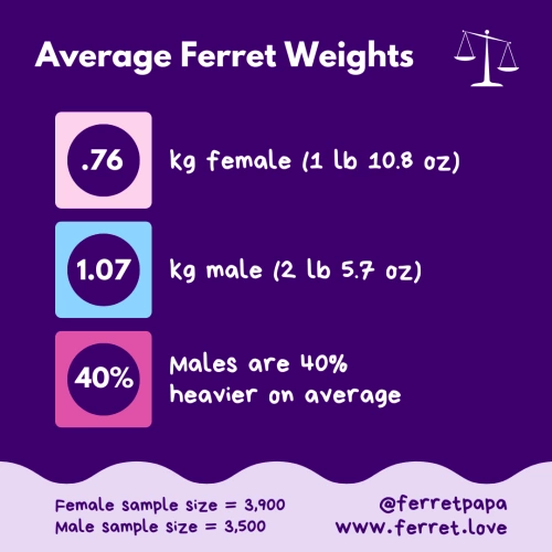 Average ferret weights at the GCFA