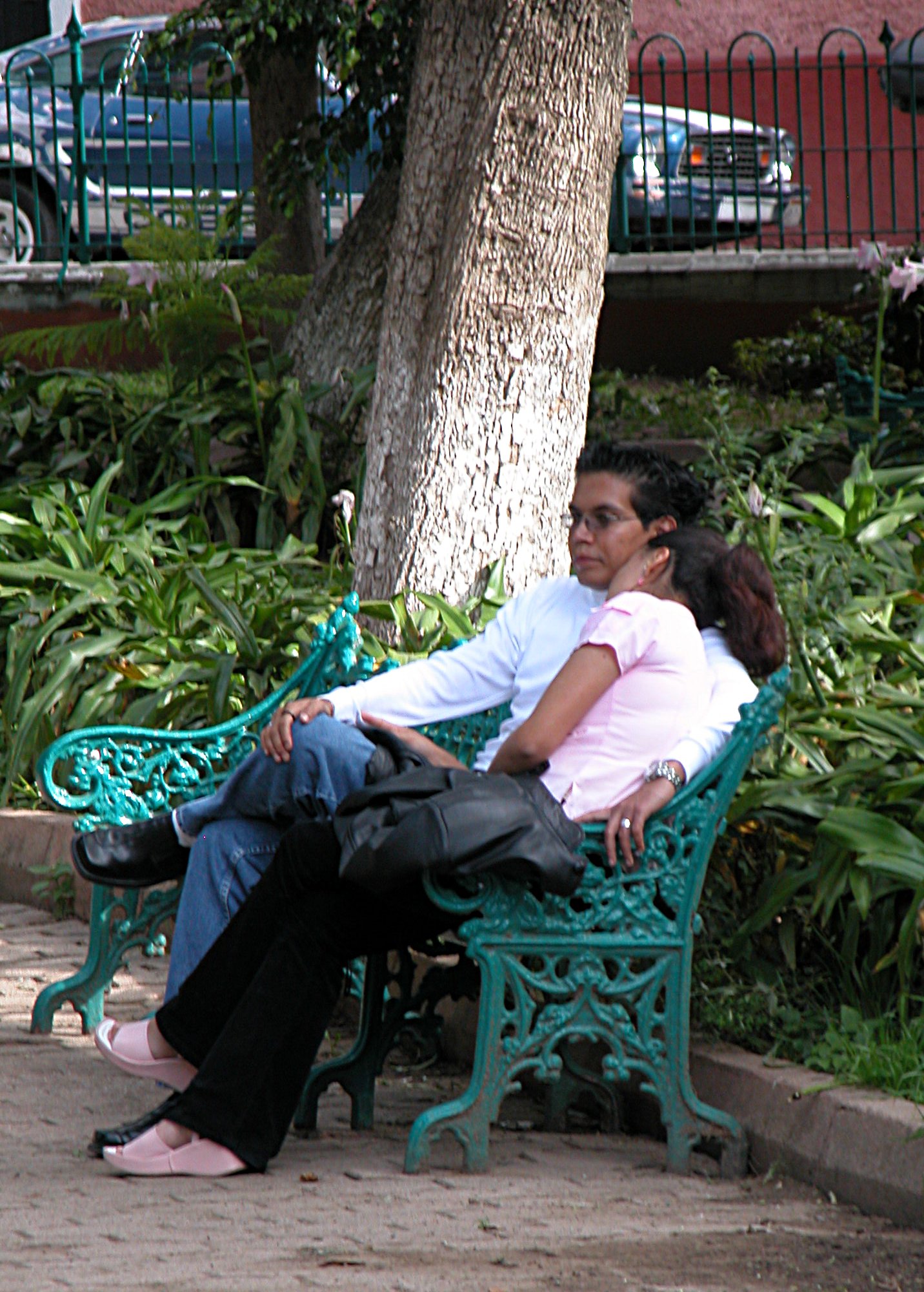 The park life essay picture