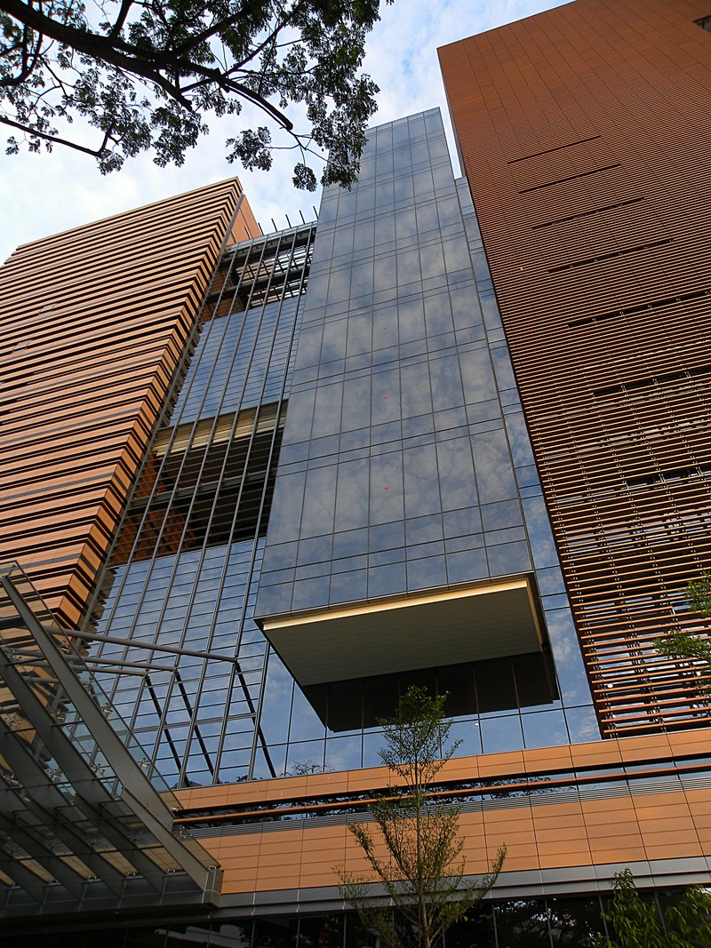 Essay writing examples image