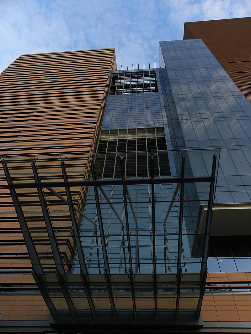 Discussion essay pdf picture