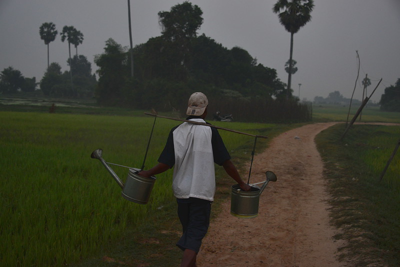 Diuresis medical definition image