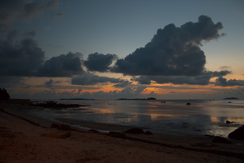 Morning walk on the beach quotes image