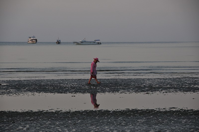 Walking along the beach description image