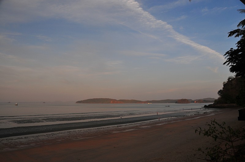 Swimming on a beach essay image