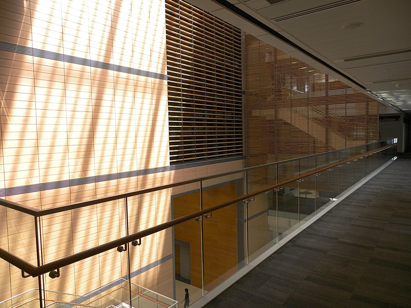 Nus 2009 essays picture