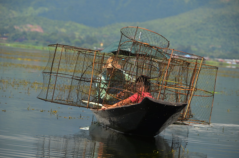 Nice trap essay 07 image