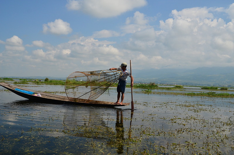 Nice trap essay 08 image