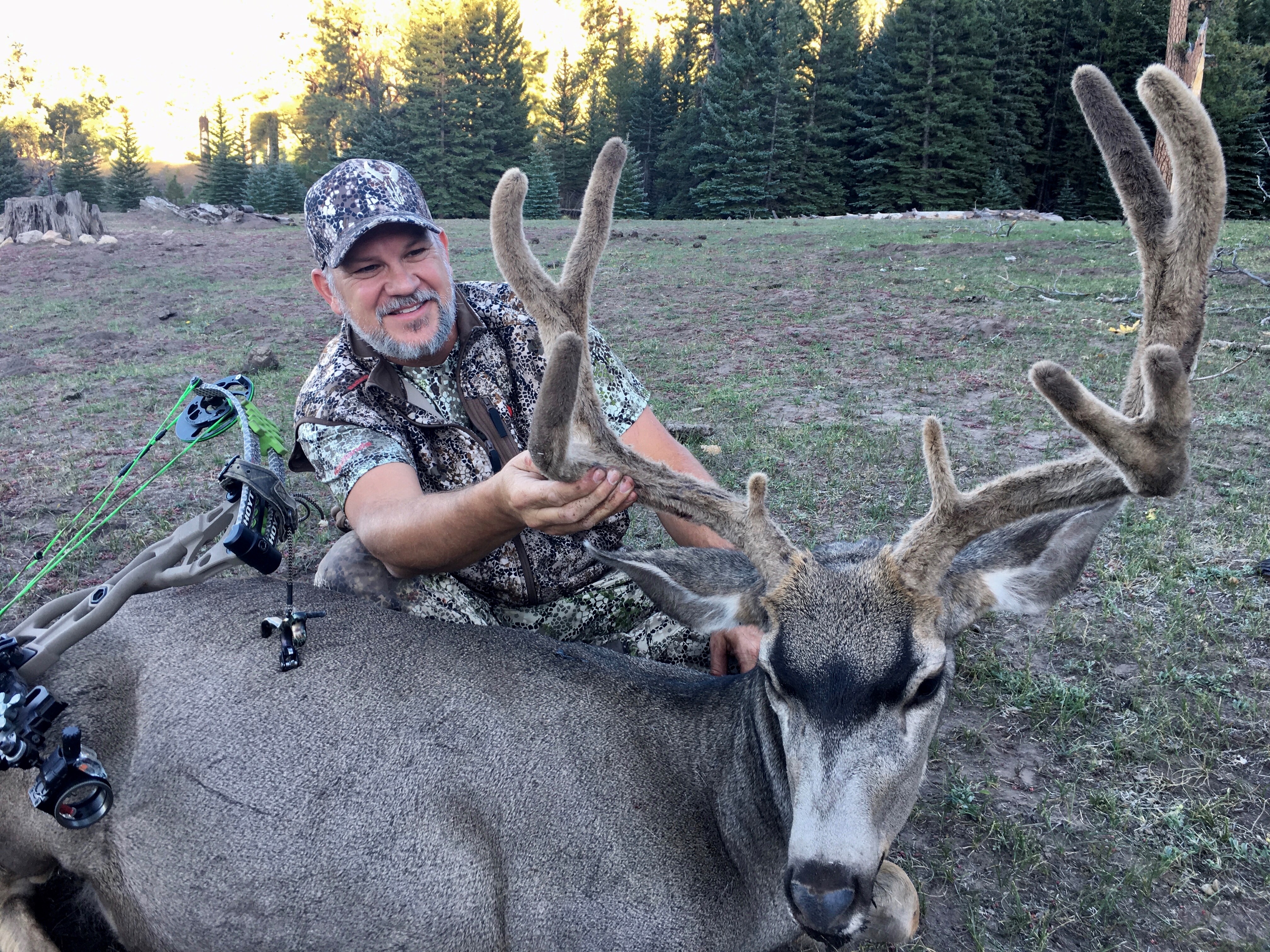 Food Is Key A Quick Guide To Early Season Mule Deer Bowhunting