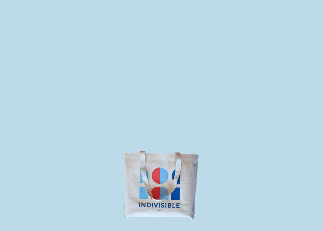 Gif of an Indivisible branded button, water bottle, hat, and shirt being lowered into a canvas bag