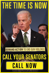 Read this message from Vice President Joe Biden and call your senators
