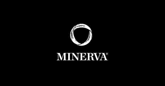 About Us | Minerva Project