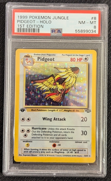 1999 Pidgeot-Holo #8 (1st Edition Jungle) PSA 8 NM-MT