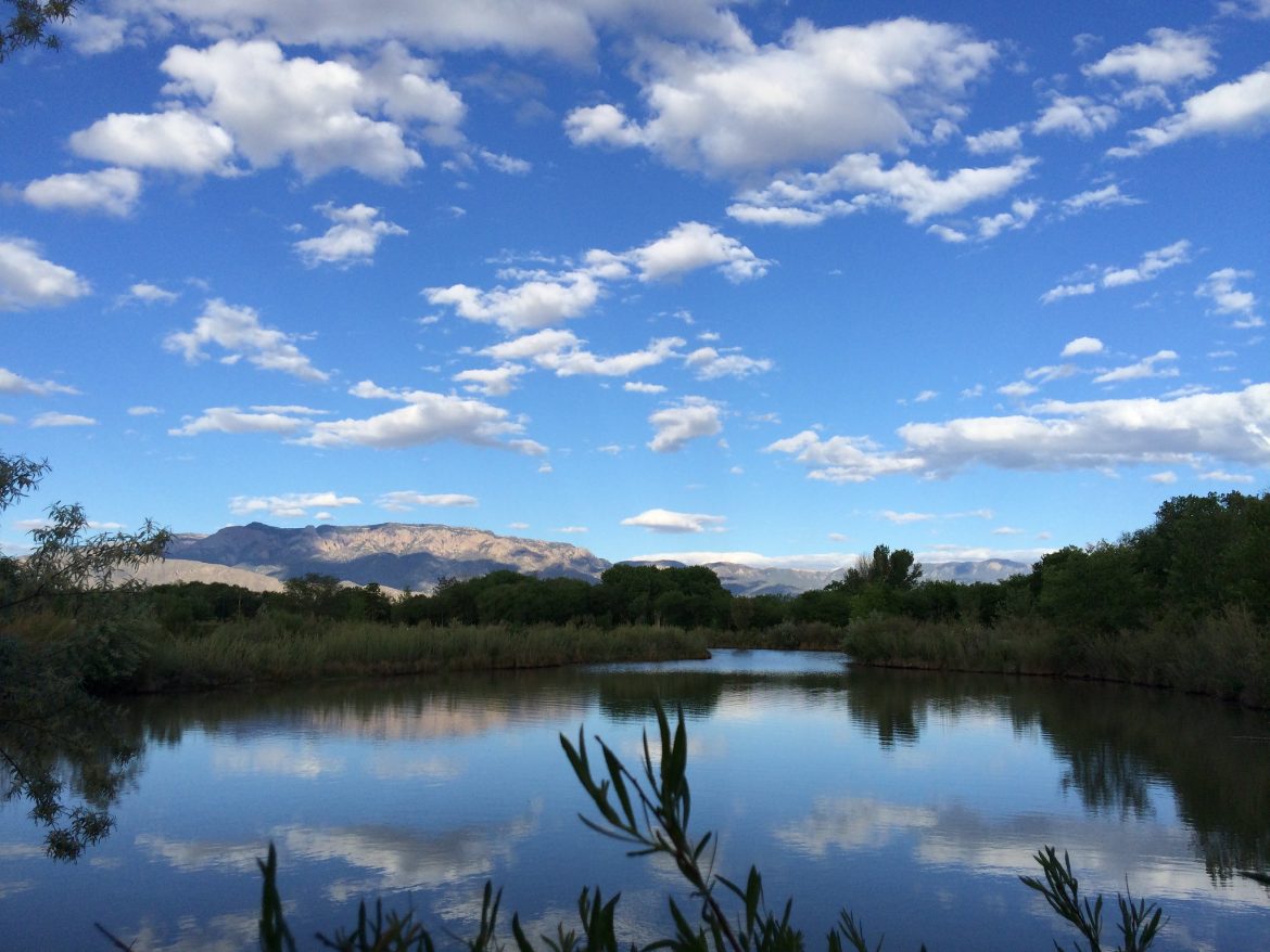 Groundwater levels on the rebound in Albuquerque NM Political Report