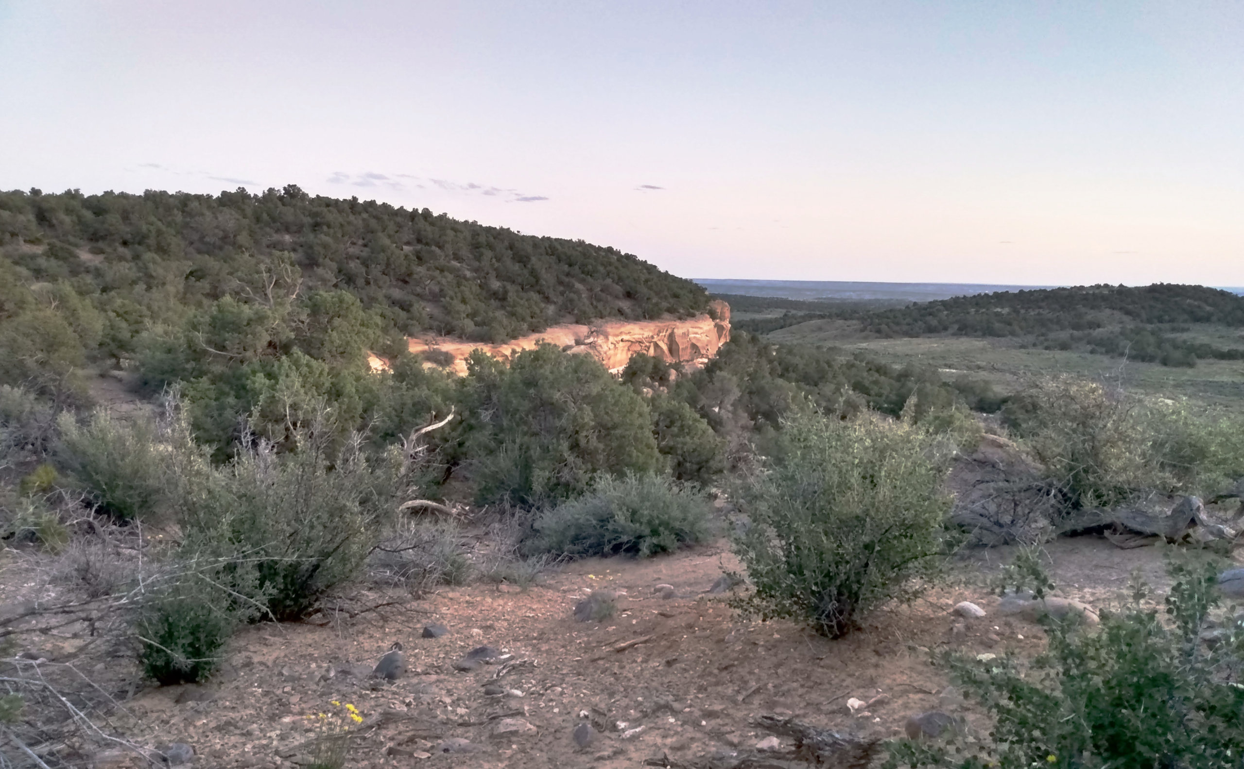 Governor announces new director of the Interstate Stream Commission ...