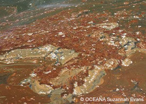oil spill
