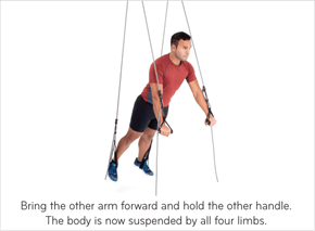 Bring the other arm forward and hold the other handle. The body is now suspended by all four limbs.
