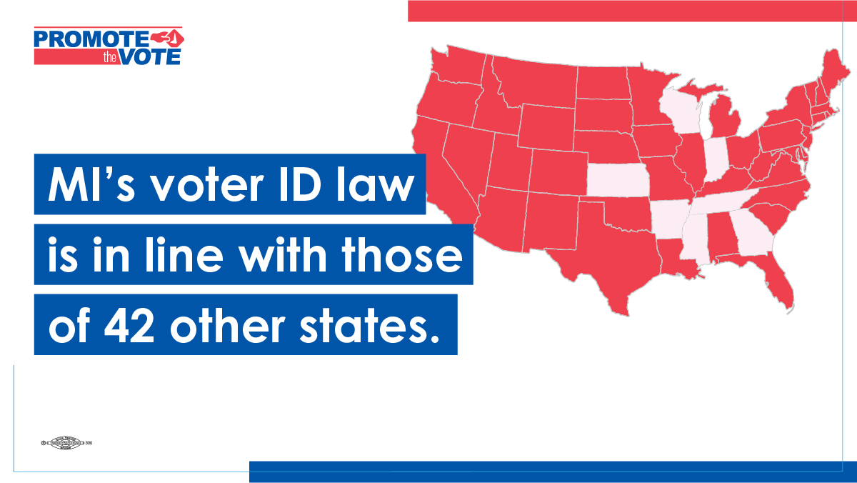 Defend Our Freedom to Vote Promote The Vote Michigan