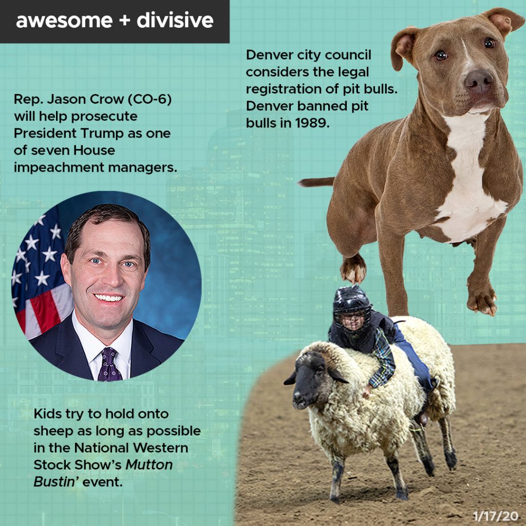 CO-WiR. Awesome+Divisive, 1.17.20