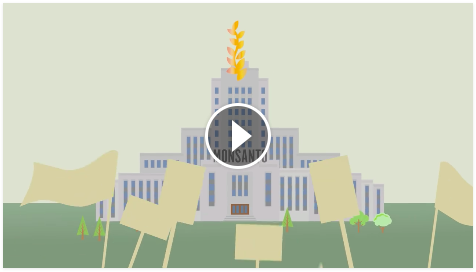 The Fight to Hold Monsanto Accountable
