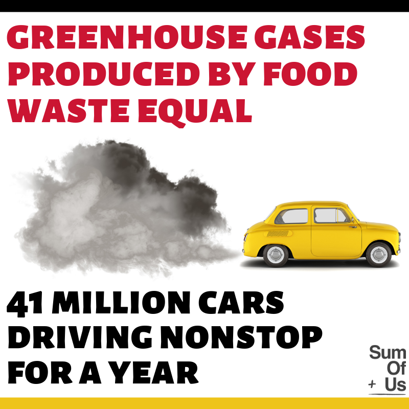 Greenhouse gases produced by food waste equal to 41 million cars driving continuously meme