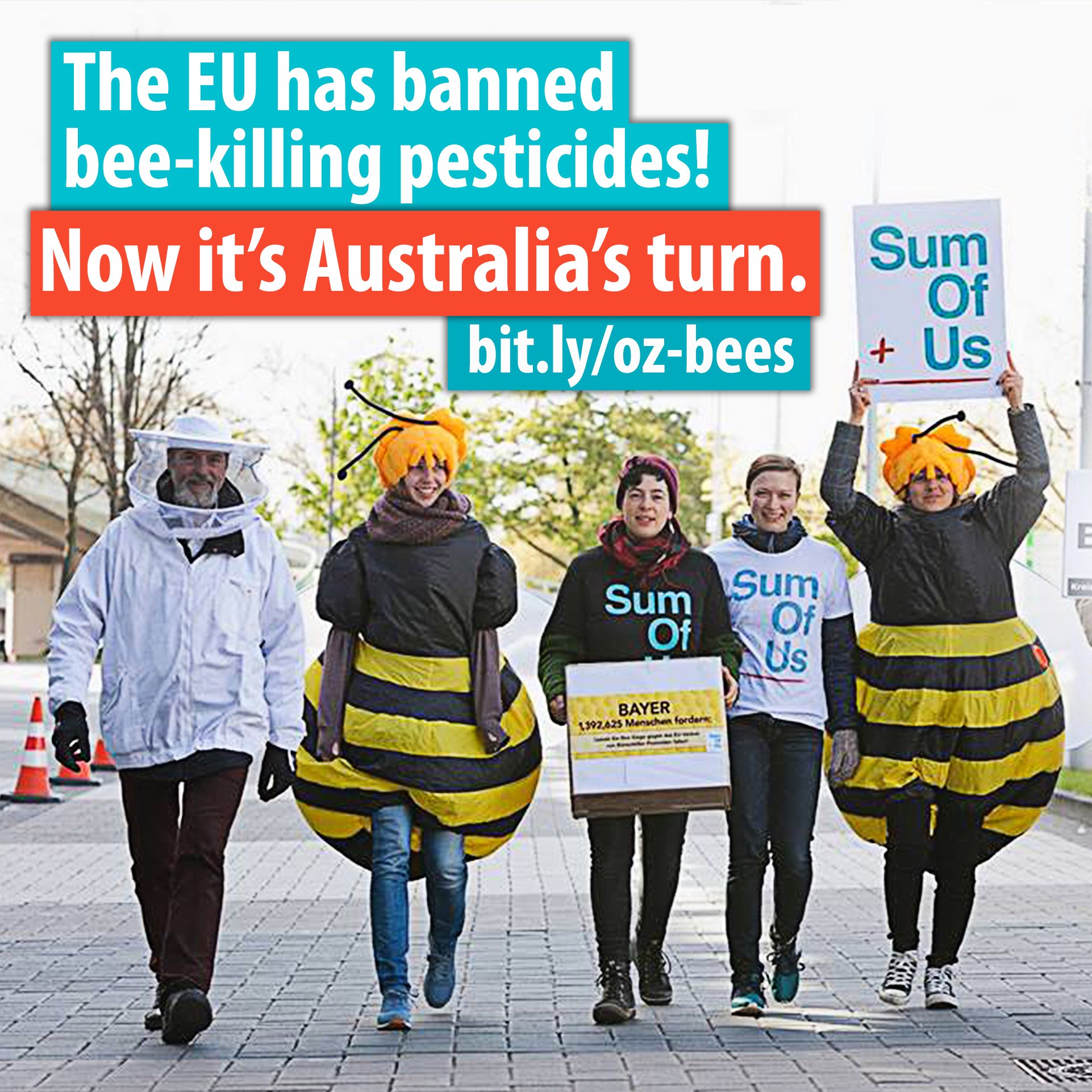 The EU has banned bee-killing pesticides! Now it's Australia's turn. [image]