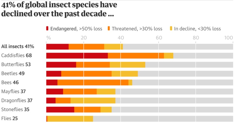 Graph showing dramatic decline in global insect species