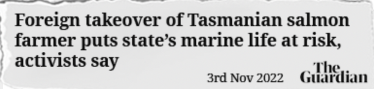 Titular en The Guardian que dice La adquisición, por parte de capital extranjero, de una salmonera de Tasmania pone en peligro la vida marina de ese estado, aseguran activistas.