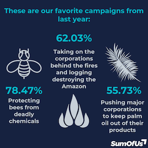 What were your favourite campaigns: 78% Protecting bees from deadly chemicals, 62% Taking on corporations behind the fires and logging destroying the Amazon, 55% Pushing major corporations to keep palm oil out of their products
