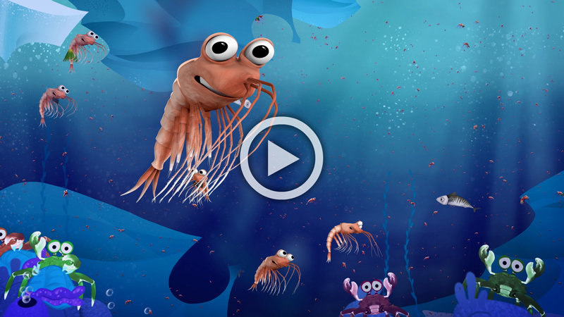 Check out this catchy tune!
