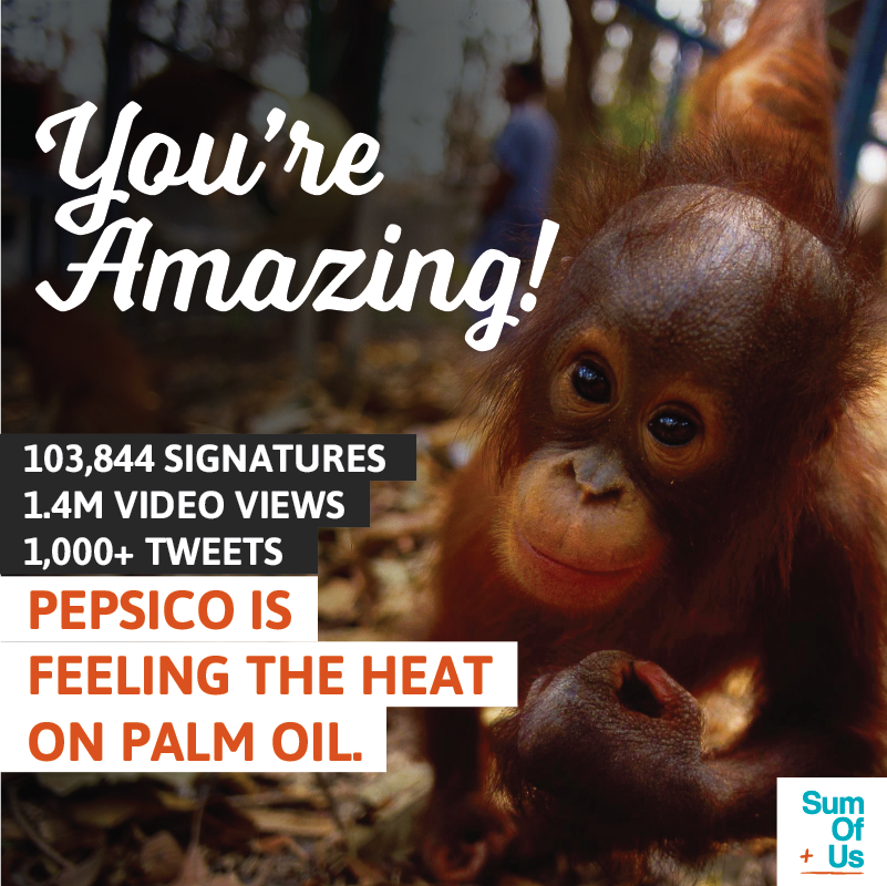 PepsiCo is feeling the heat on palm oil!