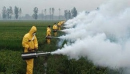 Glyphosate is not safe