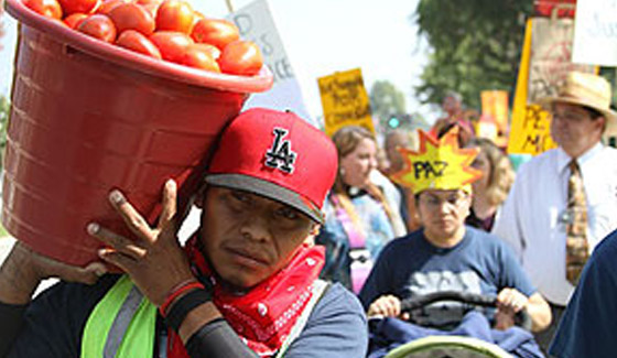 Immokalee workers