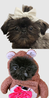 Photo of Charli