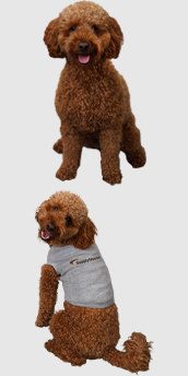 Photo of Cooper
