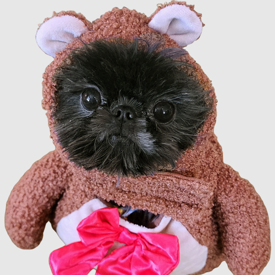 Photo of Charli