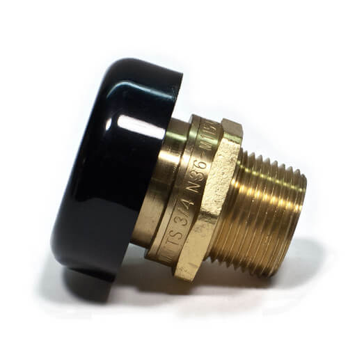 0556031 Watts 0556031 3/4" LFN36M1 Lead Free Water Service Vacuum