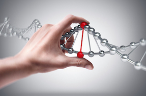 CRISPR gene-editing approved for first human trials