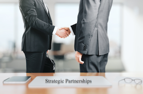 Strategic Partnerships For Small Life Science Companies