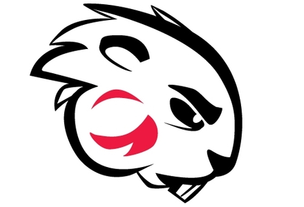 Blackburn College Women's Softball