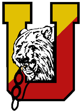 Large_ursinus_bear