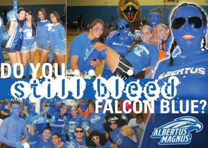 Story falcon blue