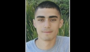 Story martin  shawn 2